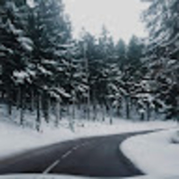 Meet your Posher, Bella - Picture 1 of 1